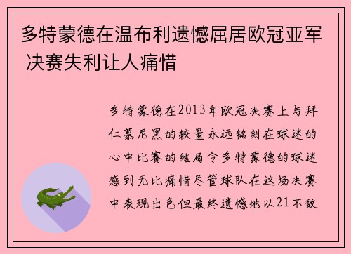 多特蒙德在温布利遗憾屈居欧冠亚军 决赛失利让人痛惜